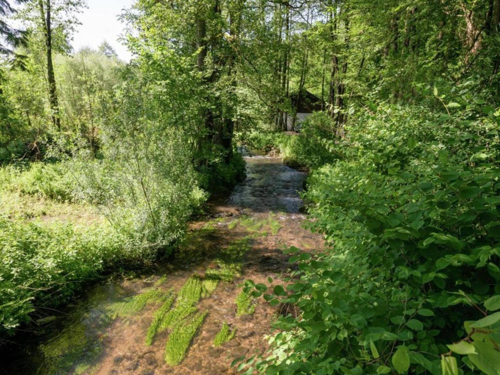Charming Holiday Home In Malmedy With Sauna Dış mekan fotoğraf